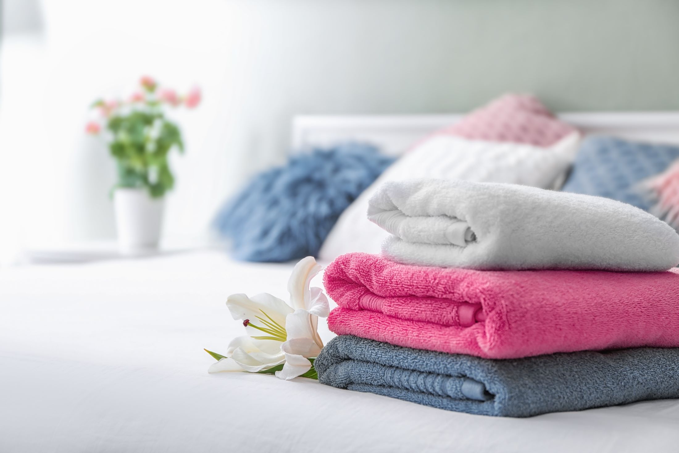 Laundry services for hotel guests - The Laundry Lady NZ
